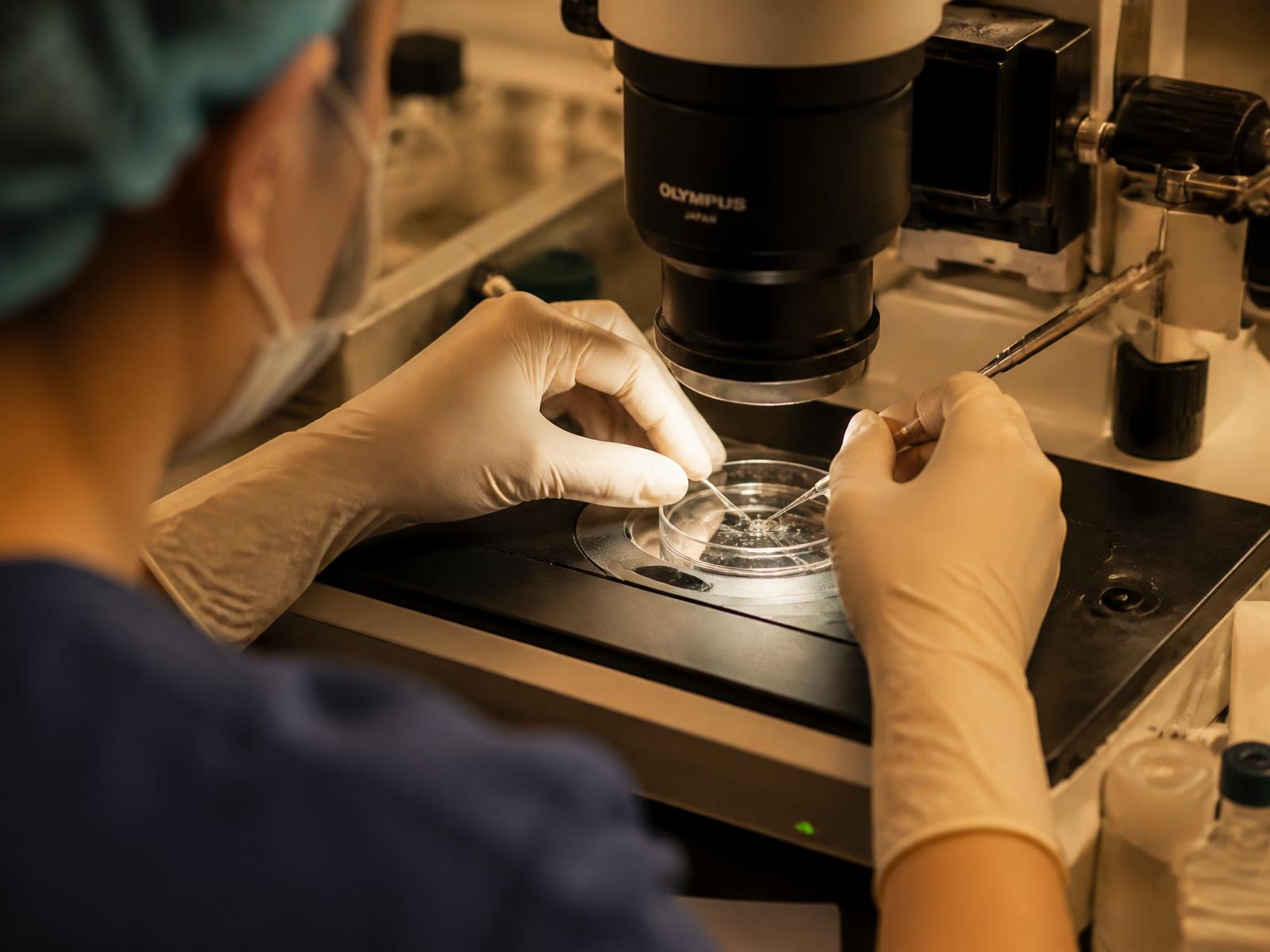Embriologista manipulando placa de cultivo em laboratório de reprodução humana