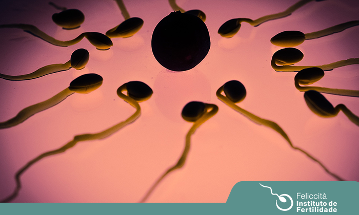 Idade versus fertilidade feminina: tire suas dúvidas