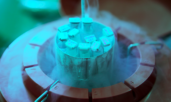 Congelamento de Óvulos: O que você precisa saber sobre a técnica que ganhou ainda mais espaço em tempos de pandemia?
